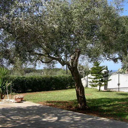 Holiday home Tra Mare E Ulivi