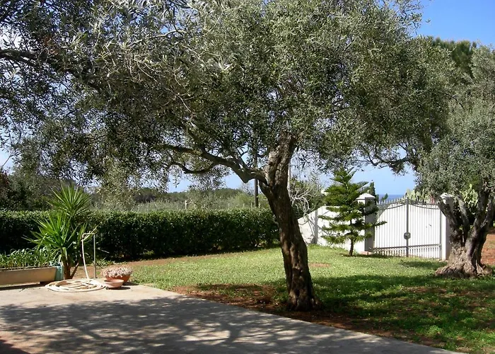 Feriehus Lananafaure